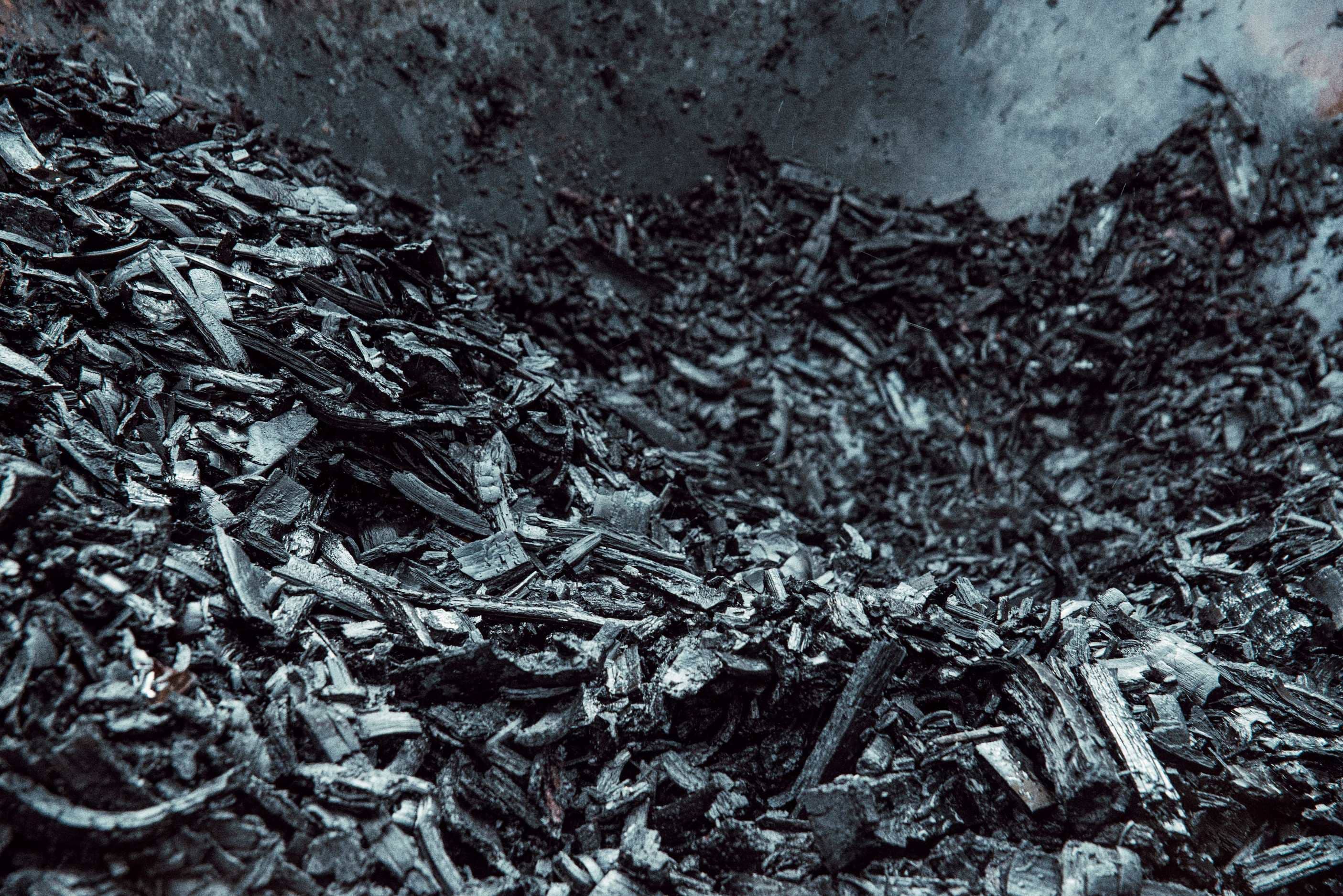 Biochar Image